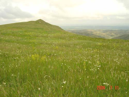 图片368.png 图片368.png