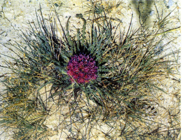 图片347.png 图片347.png