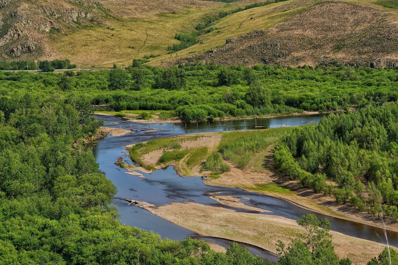 高山灌丛草甸.jpg 高山灌丛草甸.jpg