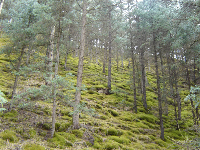 图片322.png 图片322.png