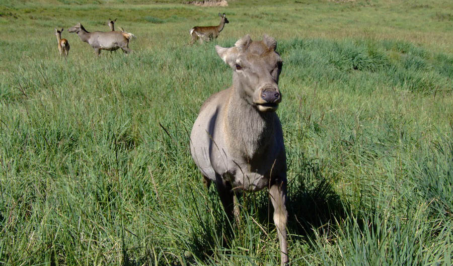 图片386.png 图片386.png