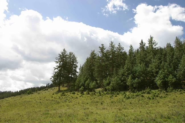 图片405.png 图片405.png