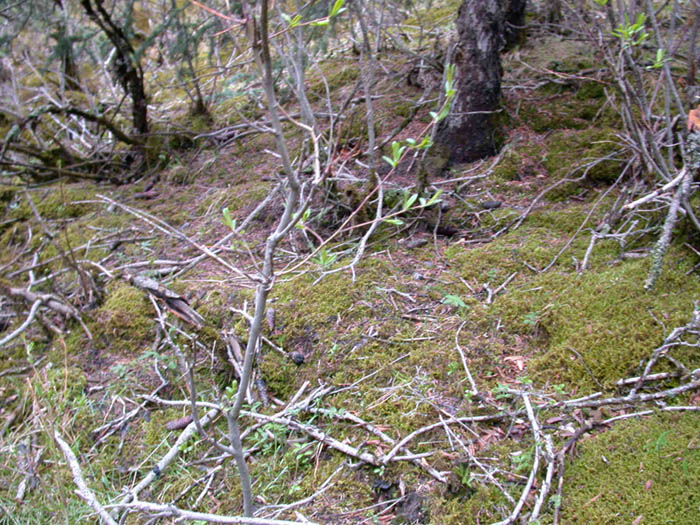 图片323.png 图片323.png