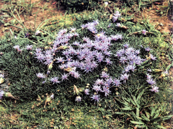 图片354.png 图片354.png