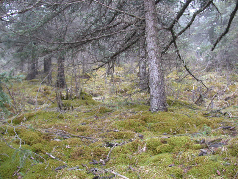 图片324.png 图片324.png