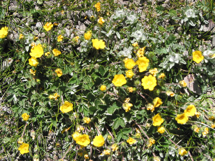 图片339.png 图片339.png