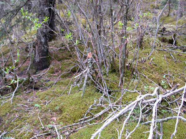 图片326.png 图片326.png