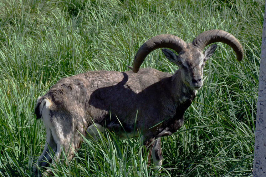 图片381.png 图片381.png