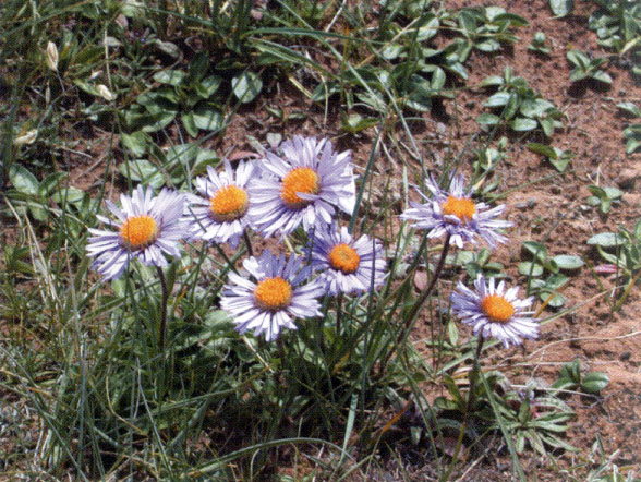 图片353.png 图片353.png