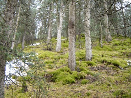 图片374.png 图片374.png