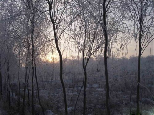 图片402.png 图片402.png