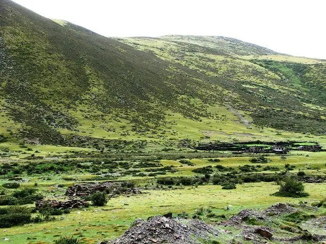 高寒草甸3.jpg 高寒草甸3.jpg