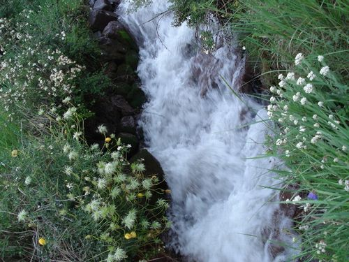 图片388.png 图片388.png