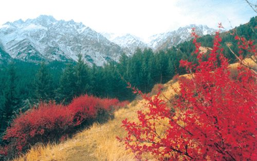 图片390.png 图片390.png