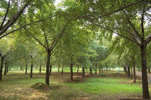 图片415.png 图片415.png