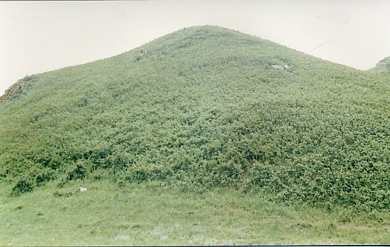 图片364.png 图片364.png