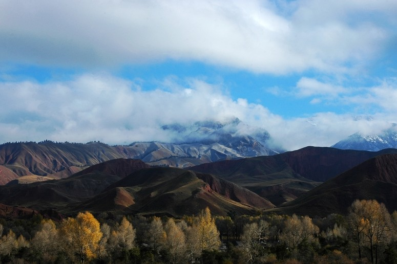 图片417.png 图片417.png