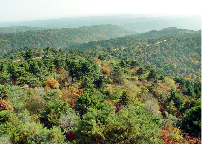 图片363.png 图片363.png