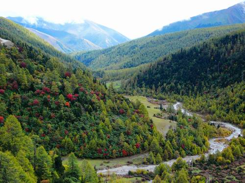 图片286.png 图片286.png