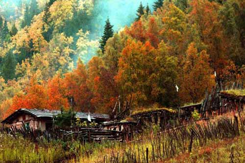 图片400.png 图片400.png