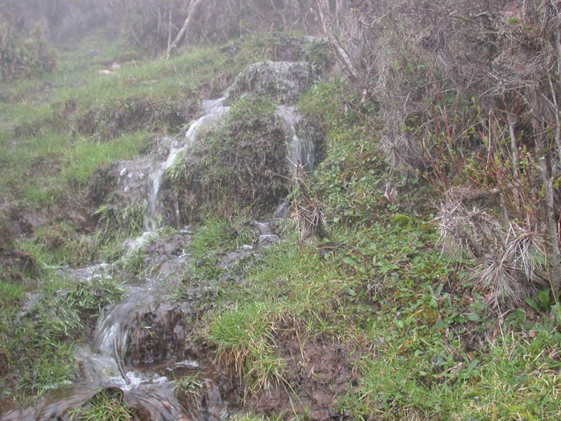 图片319.png 图片319.png