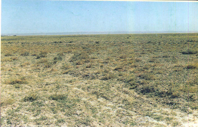 图片328.png 图片328.png