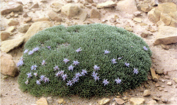 图片348.png 图片348.png