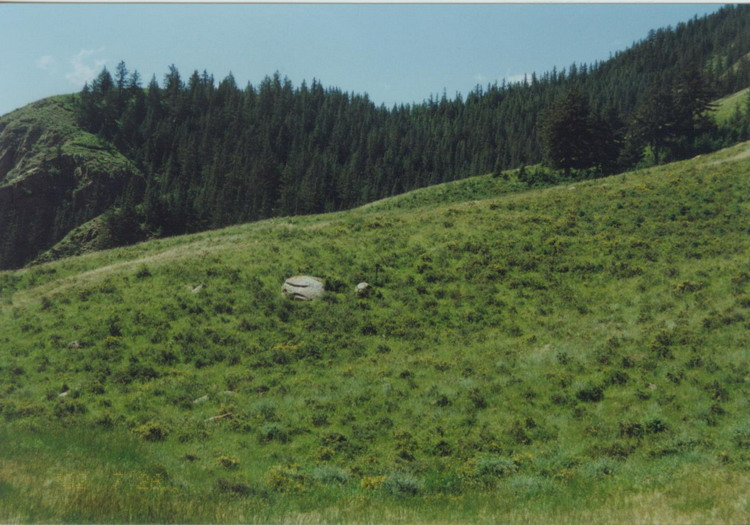 图片408.png 图片408.png