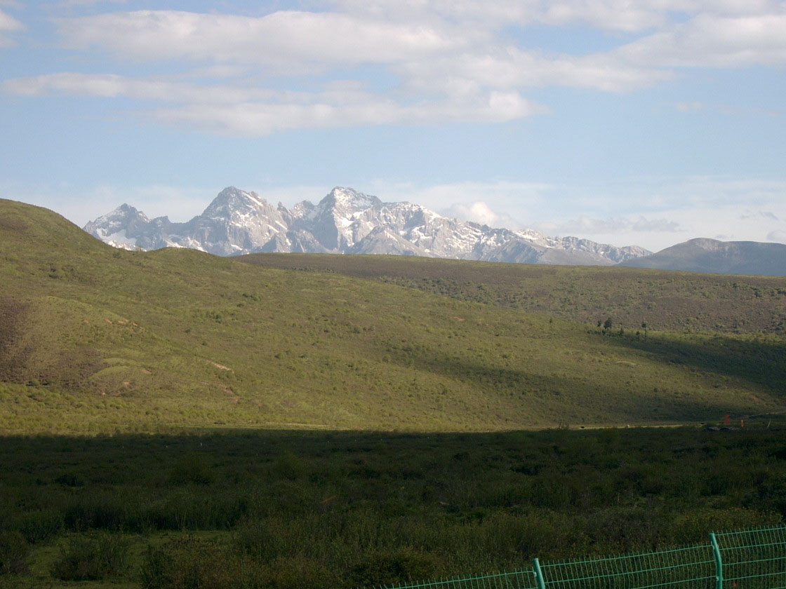 图片332.png 图片332.png