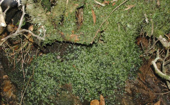 图片325.png 图片325.png