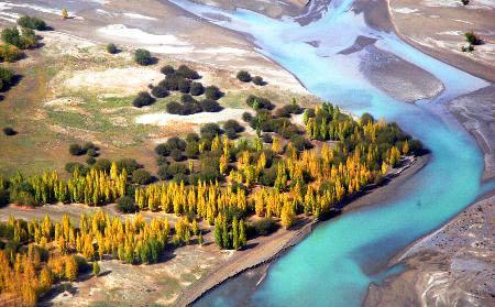 图片357.png 图片357.png