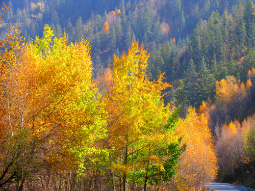 图片395.png 图片395.png