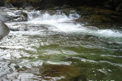 图片290.png 图片290.png