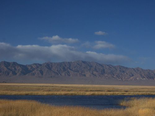 图片361.png 图片361.png