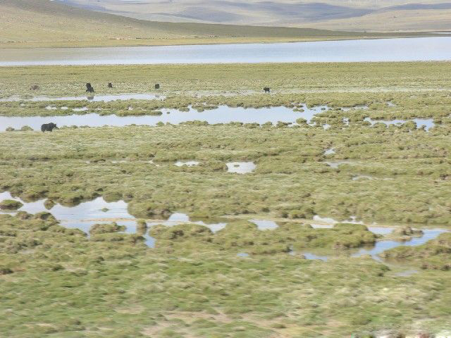 图片333.png 图片333.png