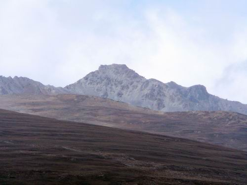 图片282.png 图片282.png