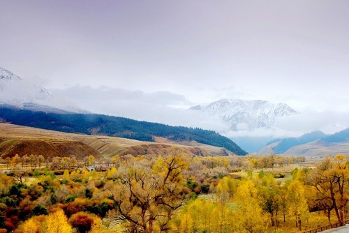 图片409.png 图片409.png