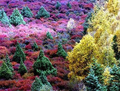 图片391.png 图片391.png