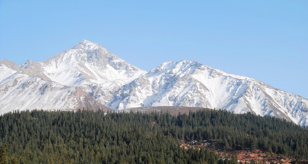 图片389.png 图片389.png