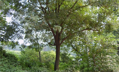 图片416.png 图片416.png