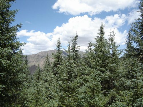 图片375.png 图片375.png