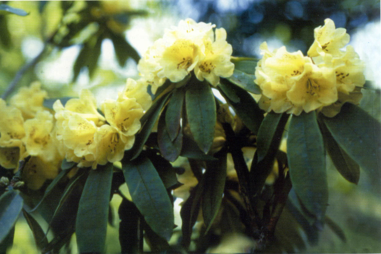 图片344.png 图片344.png