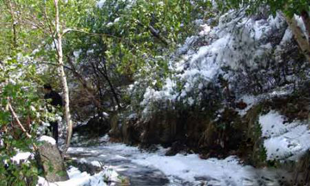 图片397.png 图片397.png