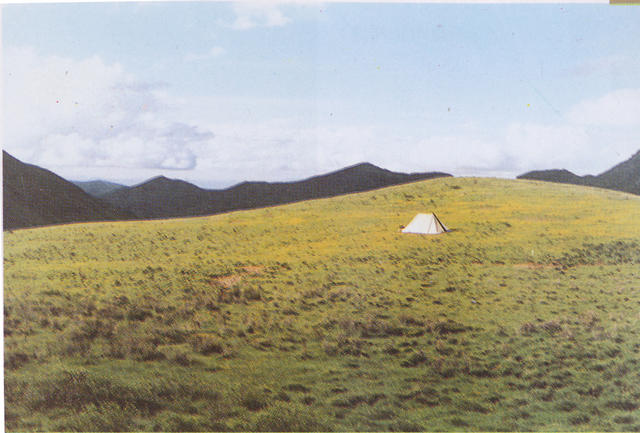 图片329.png 图片329.png