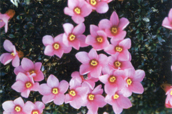 图片349.png 图片349.png