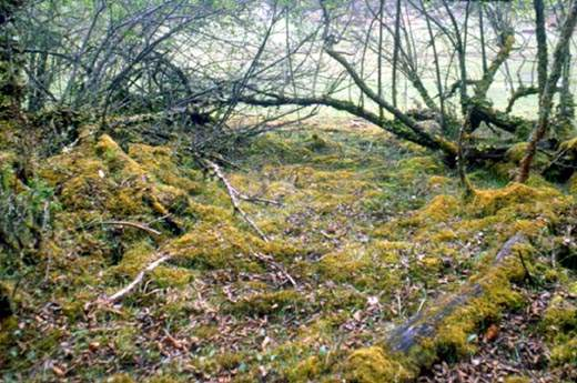 图片330.png 图片330.png