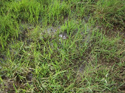 图片267.png 图片267.png