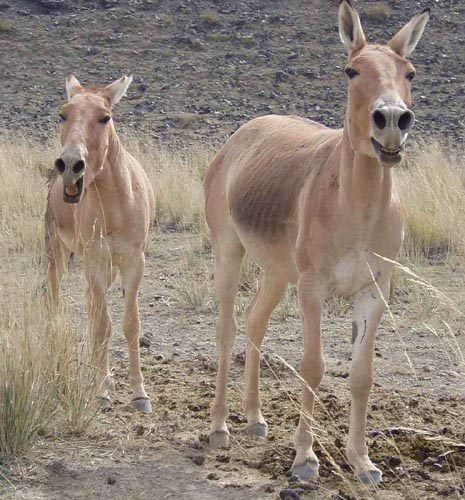 图片379.png 图片379.png