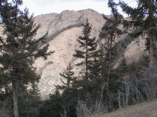 图片376.png 图片376.png