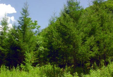 图片366.png 图片366.png